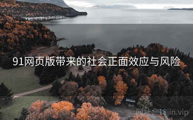 91网页版带来的社会正面效应与风险