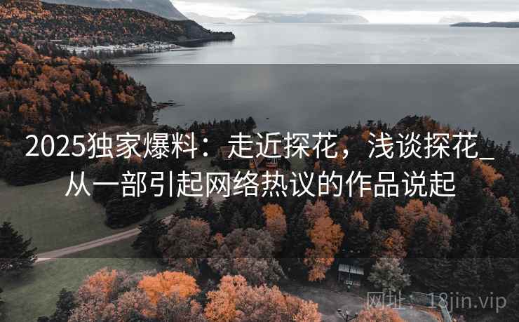2025独家爆料：走近探花，浅谈探花_从一部引起网络热议的作品说起
