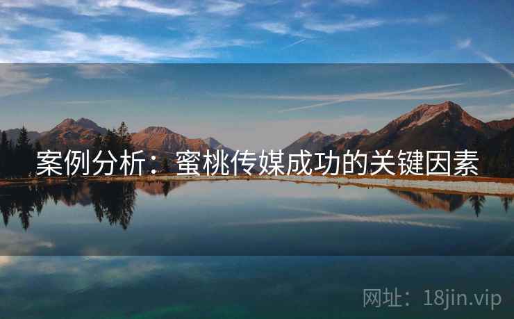 案例分析：蜜桃传媒成功的关键因素