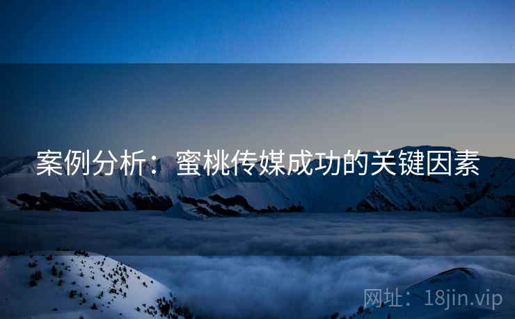 案例分析：蜜桃传媒成功的关键因素  第2张