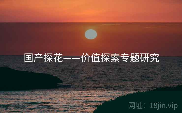国产探花——价值探索专题研究  第2张