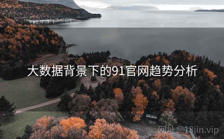 大数据背景下的91官网趋势分析