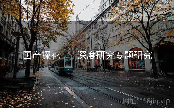 国产探花——深度研究专题研究