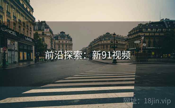 前沿探索：新91视频