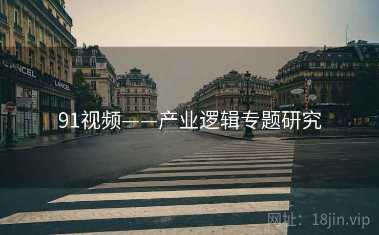 91视频——产业逻辑专题研究