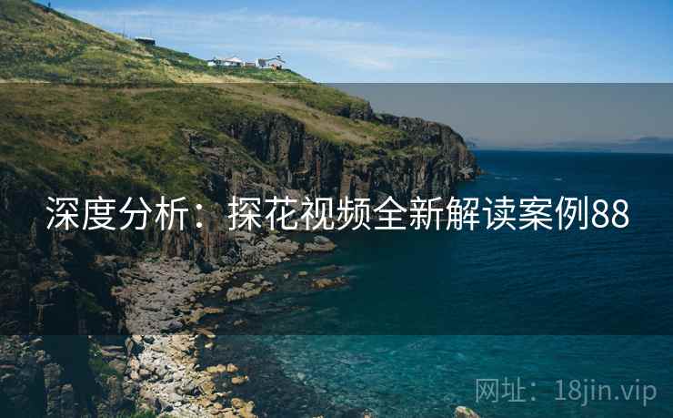 深度分析：探花视频全新解读案例88