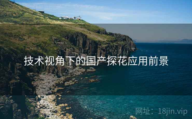 技术视角下的国产探花应用前景