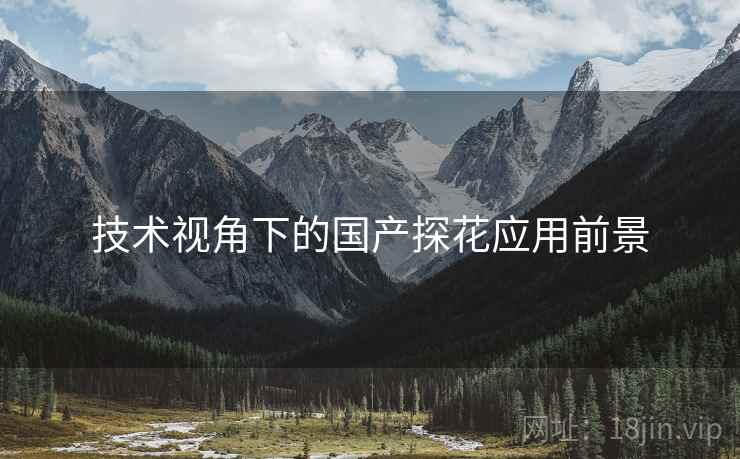 技术视角下的国产探花应用前景