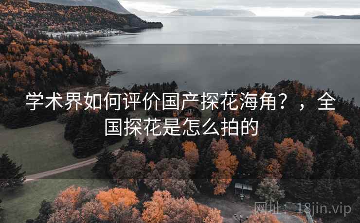 学术界如何评价国产探花海角？，全国探花是怎么拍的