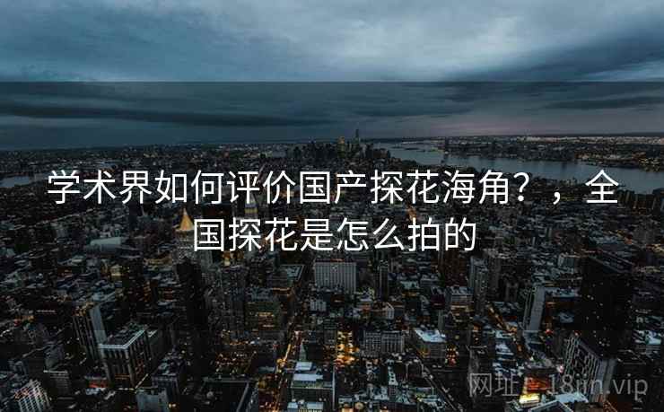 学术界如何评价国产探花海角？，全国探花是怎么拍的
