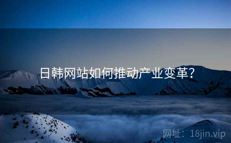 日韩网站如何推动产业变革？  第2张