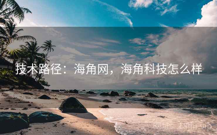 技术路径：海角网，海角科技怎么样