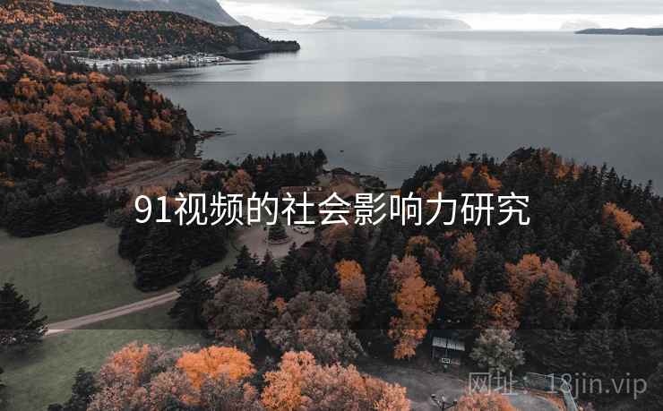 91视频的社会影响力研究