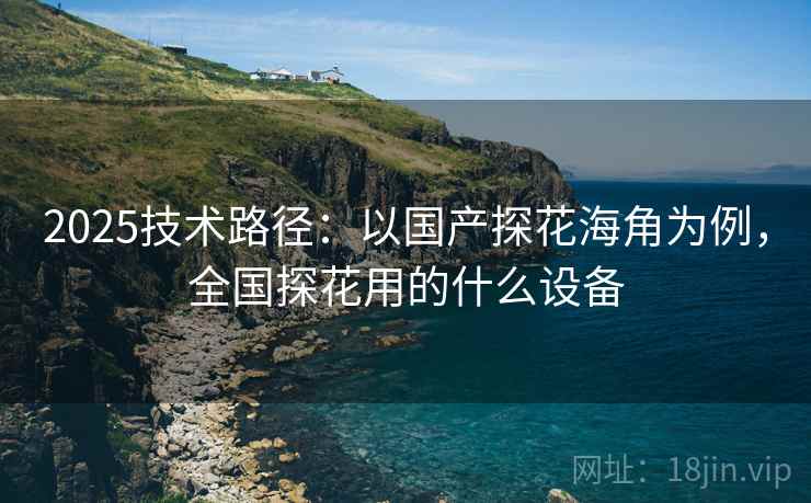2025技术路径：以国产探花海角为例，全国探花用的什么设备