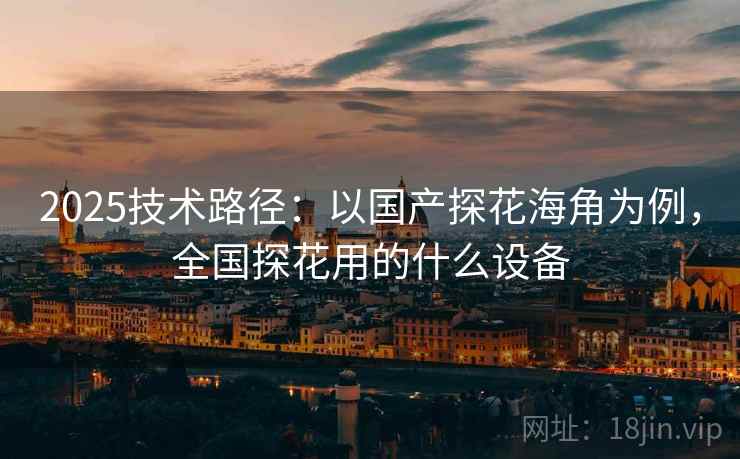 2025技术路径：以国产探花海角为例，全国探花用的什么设备  第2张