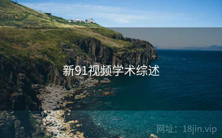 新91视频学术综述