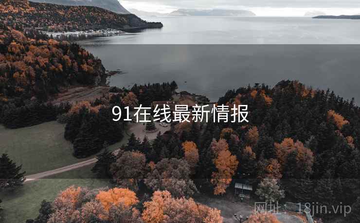 91在线最新情报