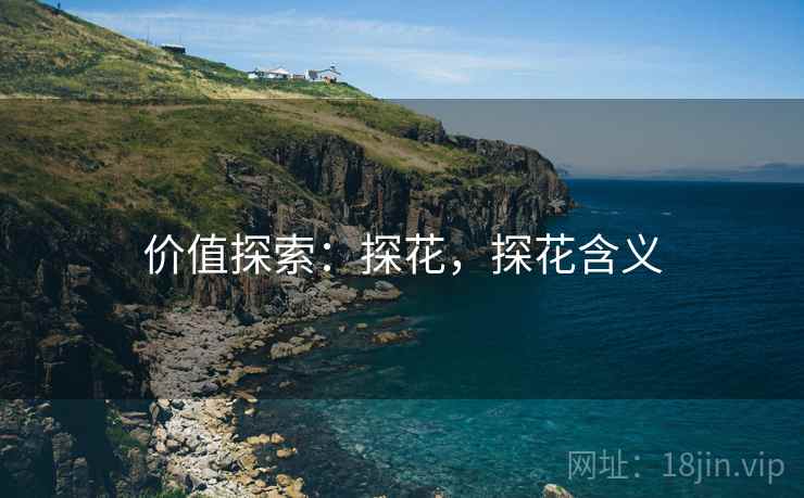 价值探索：探花，探花含义