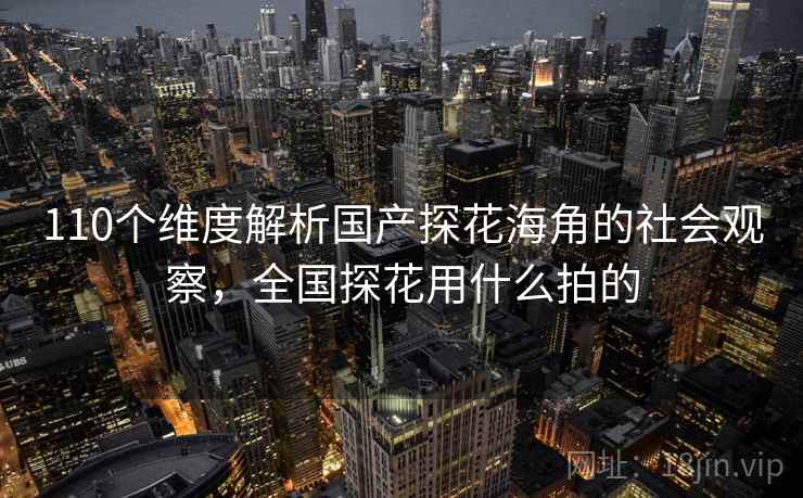 110个维度解析国产探花海角的社会观察,全国探花用什么拍的