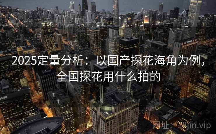 2025定量分析：以国产探花海角为例，全国探花用什么拍的