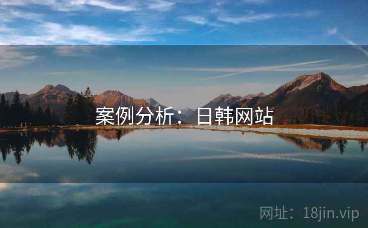 案例分析:日韩网站