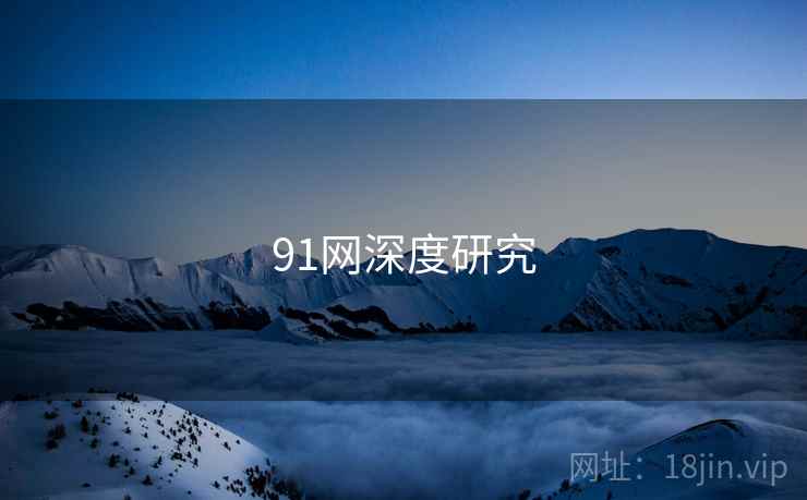 91网深度研究